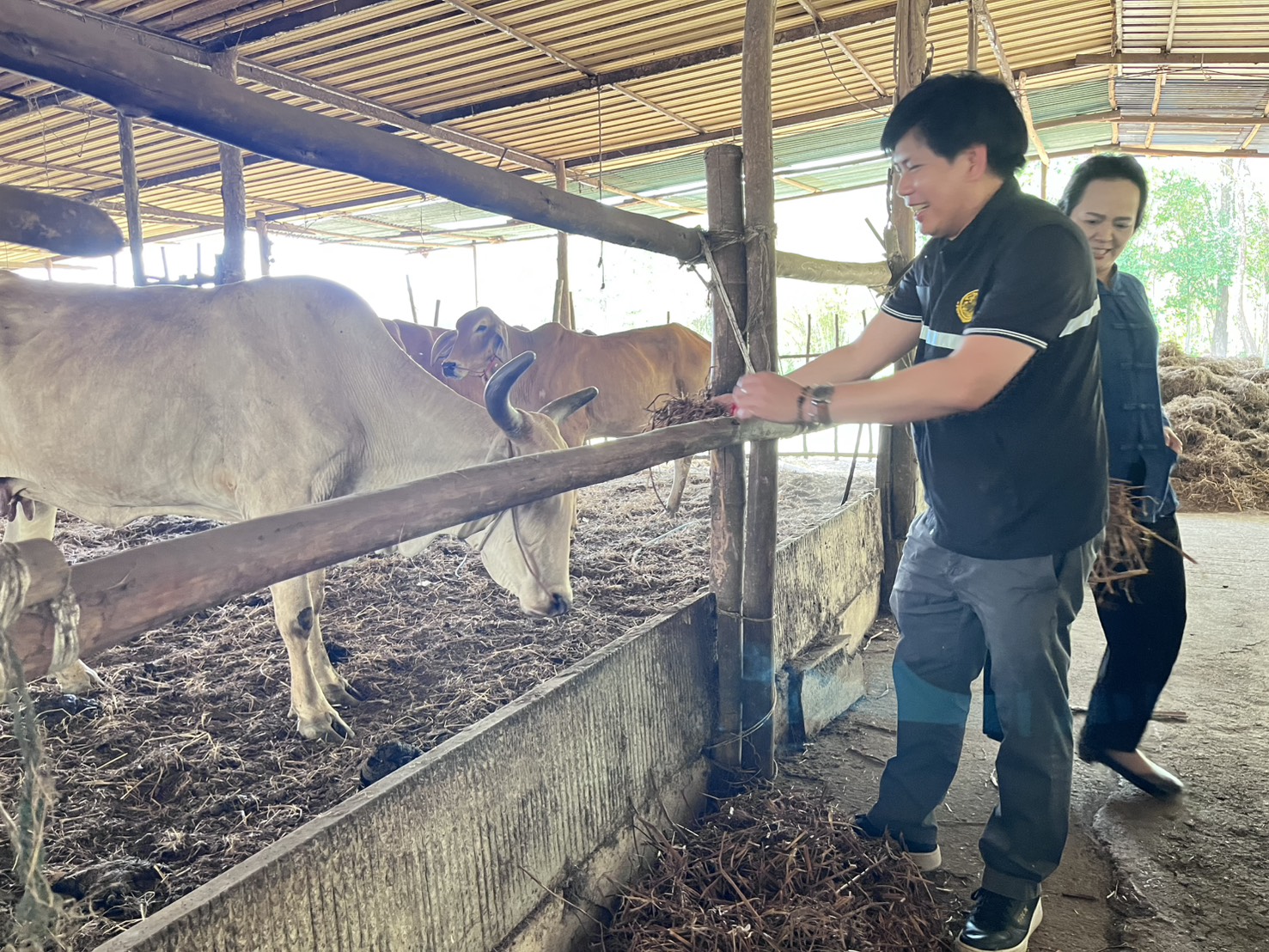 title - วันอังคารที่ 31 มีนาคม 2569 นายวิทูล ประดิษฐบุญ ปฏิรูปที่ดินจัังหวัดปราจีนบุรี พร้อมด้วย เจ้าหน้าที่ ส.ป.ก.ปราจีนบุรี เข้าร่วม กิจกรรมเปิดโครงการ Kick off การใช้ประโยชน์ จากฟางข้าวตาม 